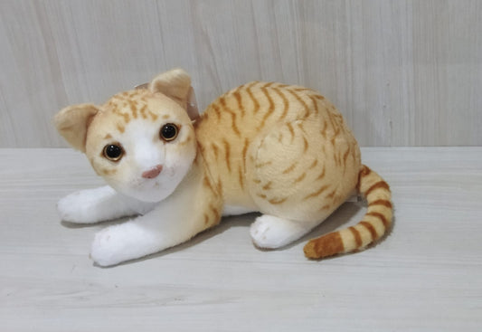 Cat Soft Toy