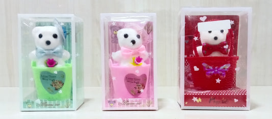 Teddy Bear Gift Box
