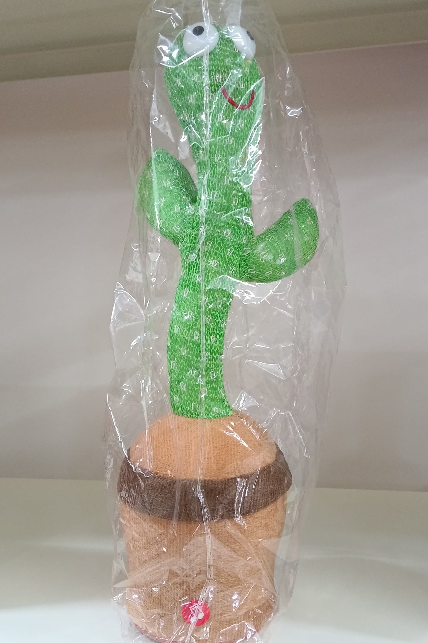 Dancing Cactus